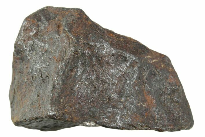 Canyon Diablo Iron Meteorite ( g) - Arizona #356104
